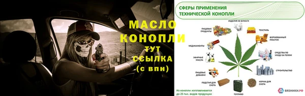 стаф Арсеньев