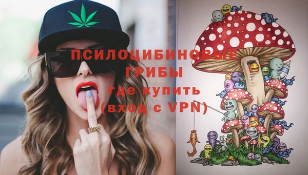 стаф Арсеньев
